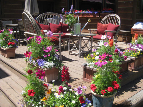 Teton View Bed And Breakfast Wilson Extérieur photo